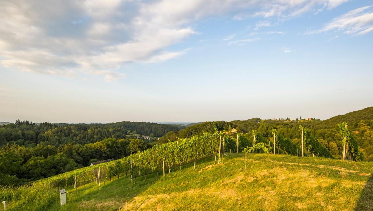 Weinzeit Chalets Gamlitz Zewnętrze zdjęcie